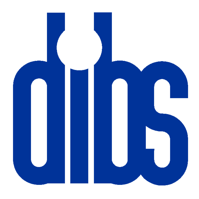 Managed IT Services in Los Angeles | DIBS Inc